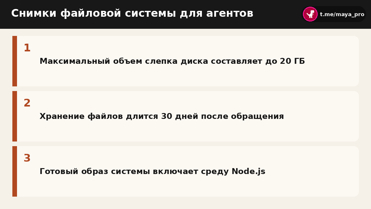 Параметры снимков диска и готовых образов окружения