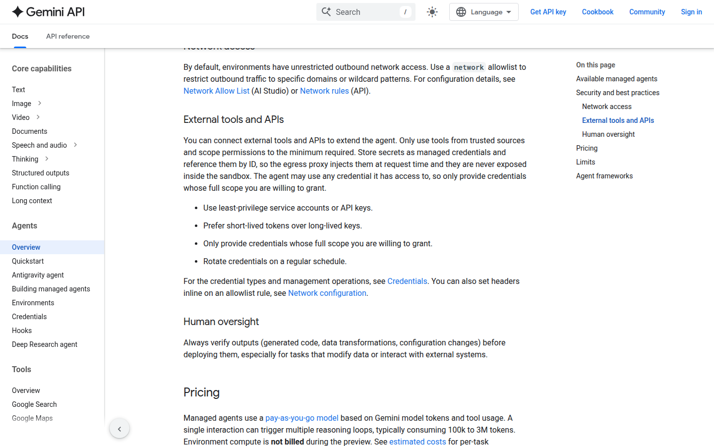 Документация Gemini API: исходящая сеть среды агента по умолчанию не ограничена